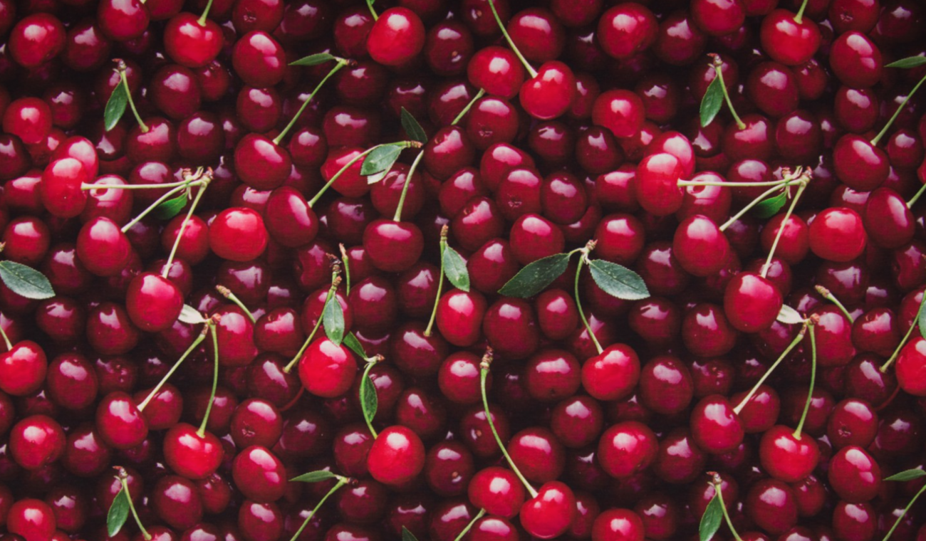 Jersey BIG CHERRIES